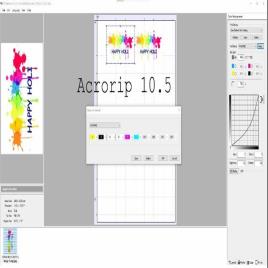 Acrorip v10.5 DTF Software