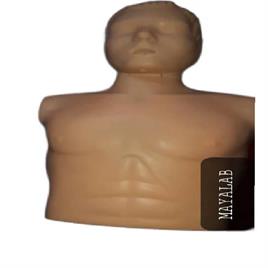 Adult CPR Training Dummy