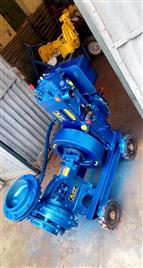 Ajit Field Shakti Diesel Engine Pumpset