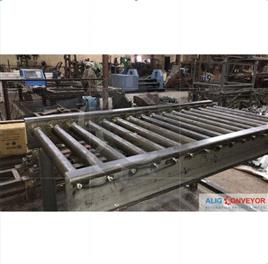 Stainless Steel Gravity Roller Equipment, 80 kg Per Feet Capacity