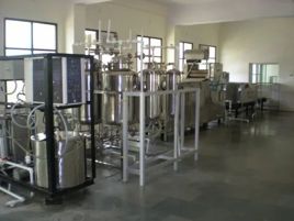 Aloe Vera Juice Processing Machine, 1000 Kg/Day