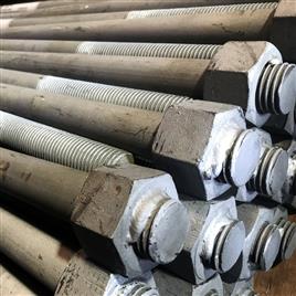 Stainless Steel Galvanized Anchor Bolt