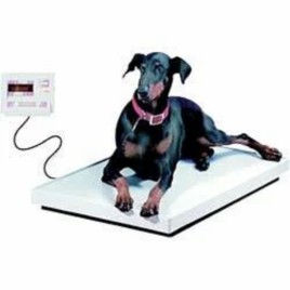 Industrial Weighing Machine, Platform 500x500 mm