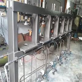 Customised Areca Leaf Plate Manufacturing Machine