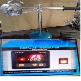 Ash Disposal Electrical Incinerator