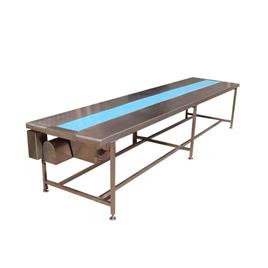Industrial Belt Conveyor Assembly