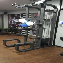 Assisted Chin Up Dips Machine for Gym