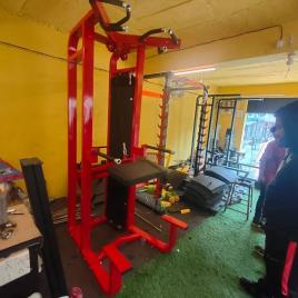 Assisted Dip Chin Machine