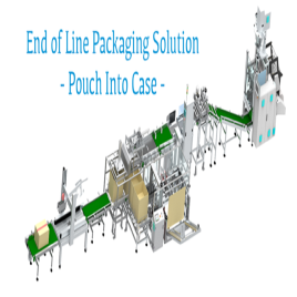 Automated Pouch Case Packer