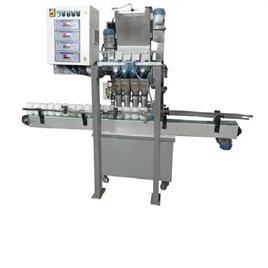 Automatic Auger Filler, Four Head