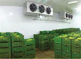 5 Ton Automatic Storage Ripening Machine