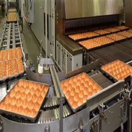 Automated Bread Production Plant