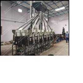 Automated Cashew Nut Slicing Line