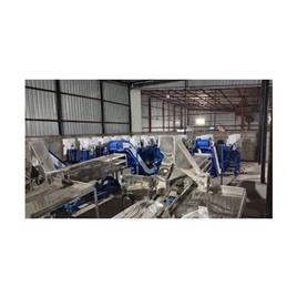Automated Cashew Processing Equipment