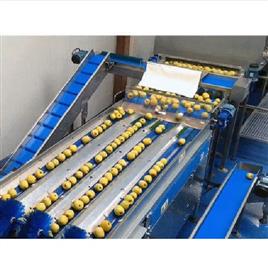 Chukchi Grading Equipment