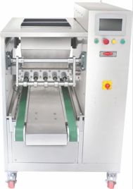 Automatic Electric Double Hopper Cake Depositor/Injector, Bakery