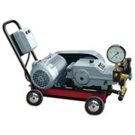 Automatic Electric High Pressure Pump