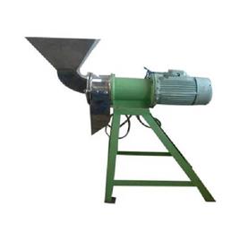 Automatic SS 304 Fruit Mill Crusher
