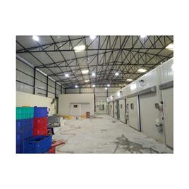 Automated Fruit Ripening Machine