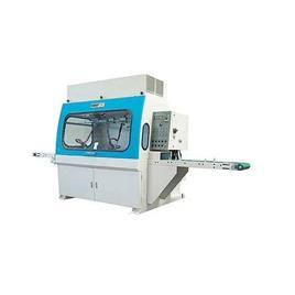 Moulding Auto Painting Equipment
