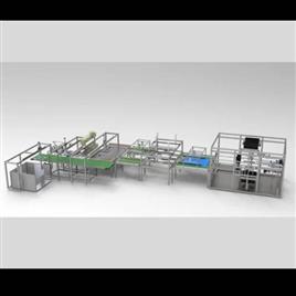 Automated Packaging Line