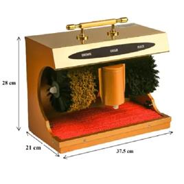 Automatic Shoe Shine Device