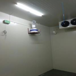 Automatic Solar Fruit Ripening Machine