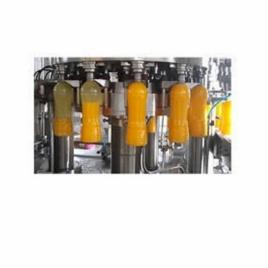 SS 304 Mango Processing Plant