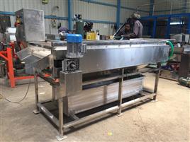 500kg Automatic SS 304 Mango Processing Plant