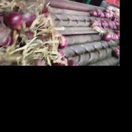 Automatic Stainless Steel Onion Detopping Equipment