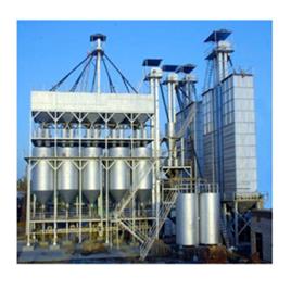 Standard Electric Paddy Dryer Machine