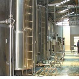 Steel Mechanized Plant, 500-2500 LPH