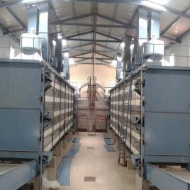 Automated Potato Dehydration Plant