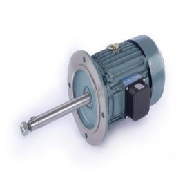 Avirat Long Shaft Cooling Tower Motor