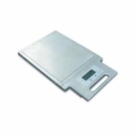 Electronic Axle Weighing Platform Scale