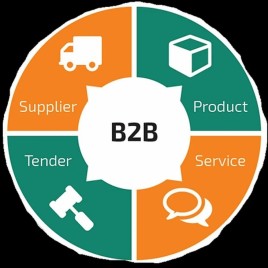 B2B Portal Development Service