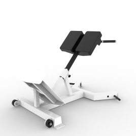 Back Hyper Extension Machine RP-020