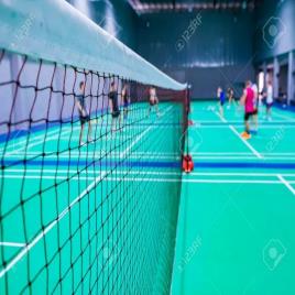 Sports Badminton Net
