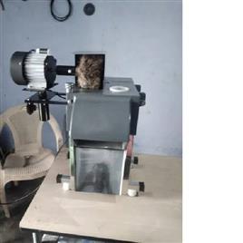 Banana Chips Production Plant