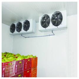 Banana Cold Storage Room 15X10X10
