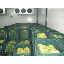 Food Industry Banana Ripening Device