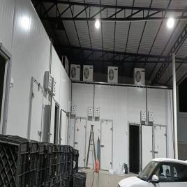 Banana Ripening Chamber Equipment