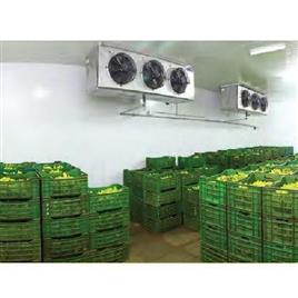 Banana Ripening Chamber Device