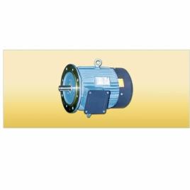 Batliboi B5 Flange Mounted Motor