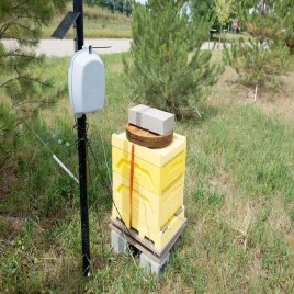 Automated Bee Farm Equipment