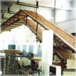 Biscuit Industry Belt Conveyor Machine