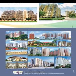 Berger Home Paint & Waterproofing