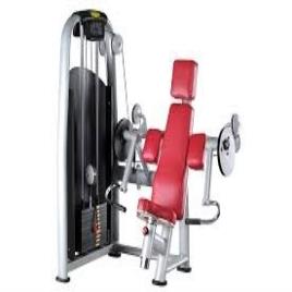 Bicep Curl Machine