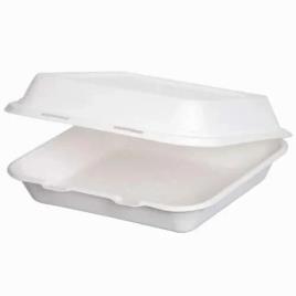 Biodegradable Bagasse Products