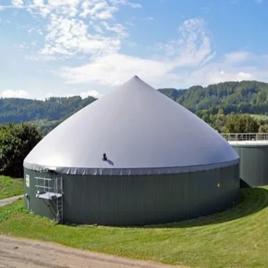 Biogas Storage Balloon